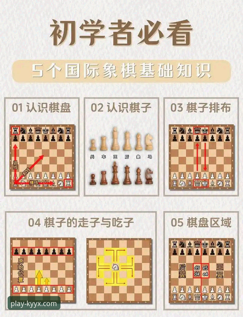 KYYX娱乐品牌 开元棋盘体育深度解析:KYYX娱乐品牌全面评测与新手入门指南